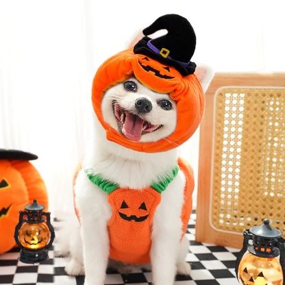 Small Dog Pumpkin Costume