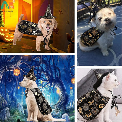 Wizard Dog Costume